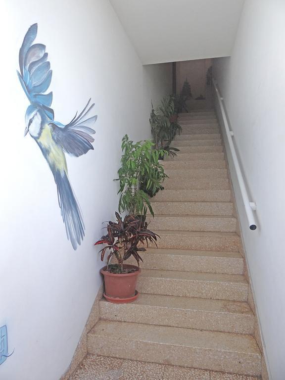 Apartamentos Dominguez Calera Zewnętrze zdjęcie